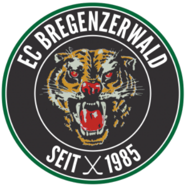 EC Bregenzerwald 2016-Pres Primary Logo iron on heat transfer